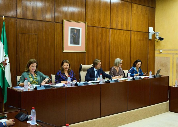 Archivo - La consejera de Agricultura, Pesca, Agua y Desarrollo Rural, Carmen Crespo, en comisión parlamentaria.