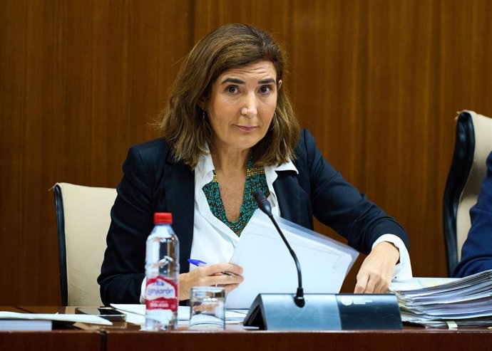 La consejera de Empleo, Empresa y Trabajo Autónomo, Rocío Blanco, ha anunciado en el Parlamento andaluz que su departamento ya está preparando nuevos programas formativos de FP para especialidades con alta demanda y sectores muy concretos.