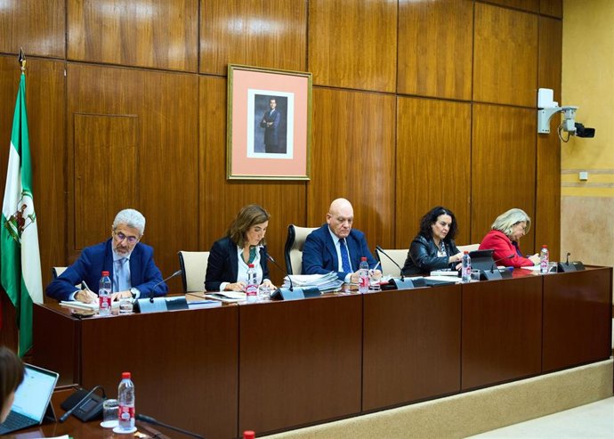 La consejera de Empleo, Empresa y Trabajo Autónomo, Rocío Blanco, ha explicado en el Parlamento las principales líneas del VII Plan Integral de Fomento del Comercio Interior 2023-2026, un programa que alcanzará los 92,8 millones de presupuesto.