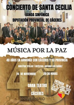 Cartel del concierto solidario