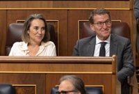 Gamarra dice que Feijóo hará "los mejores equipos", que se sabrán en un Comité Ejecutivo del PP antes del 1 de diciembre