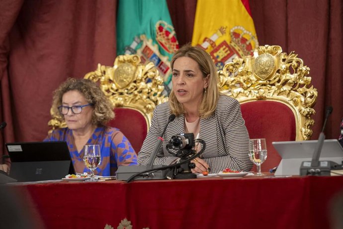 La presidenta de la Diputación, Almudena Martínez, en el Pleno de noviembre.