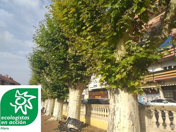 Archivo - Parque de Haro