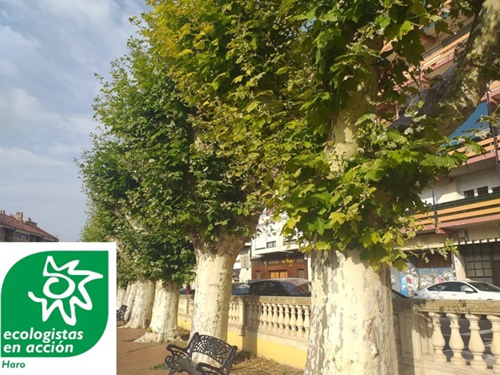 Archivo - Parque de Haro