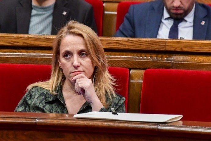 La consellera d'Economia, Natlia Mas
