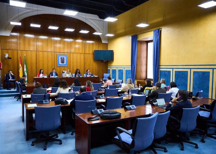 El consejero de Justicia, Administración Local y Función Pública, José Antonio Nieto, ha informado en la Comisión parlamentaria de Infancia de la creación durante este año de una decena de nuevas salas Gesell en juzgados de diferentes provincias.