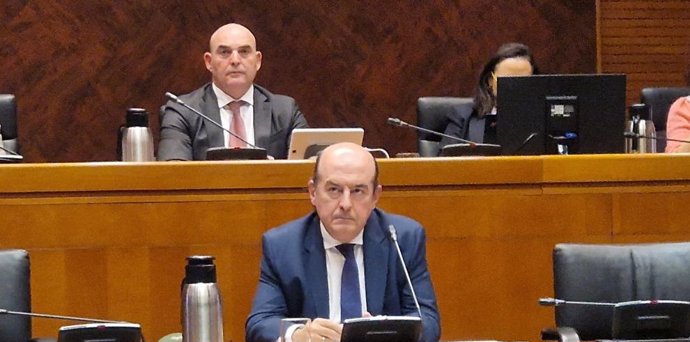 El director general de Asistencia Sanitaria y Planificación, Ramón Boria, comparece ante la Comisión de Sanidad de las Cortes de Aragón