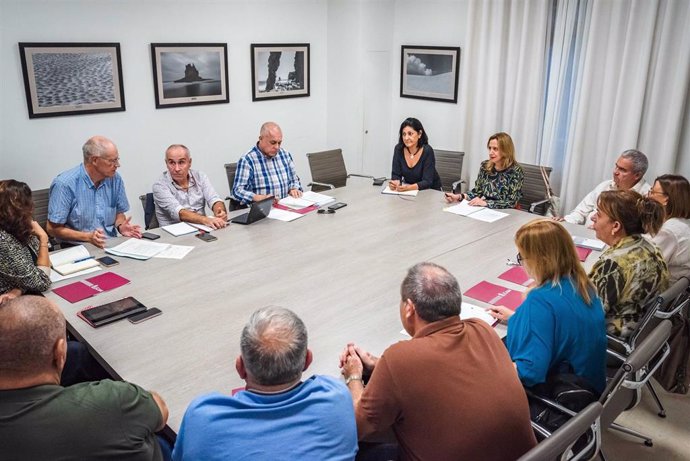 Representantes del Cabildo de Tenerife, del sector del taxi y de los ayuntamientos de Granadilla y San Miguel de Abona han acordado la declaración del Aeropuerto del Sur como zona sensible
