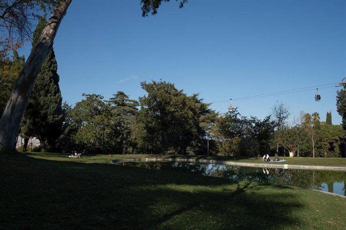 Varias personas en los jardines de los alrededores del Museu Nacional d'Art de Catalunya, a 21 de noviembre de 2023, en Barcelona, Catalunya (España). 