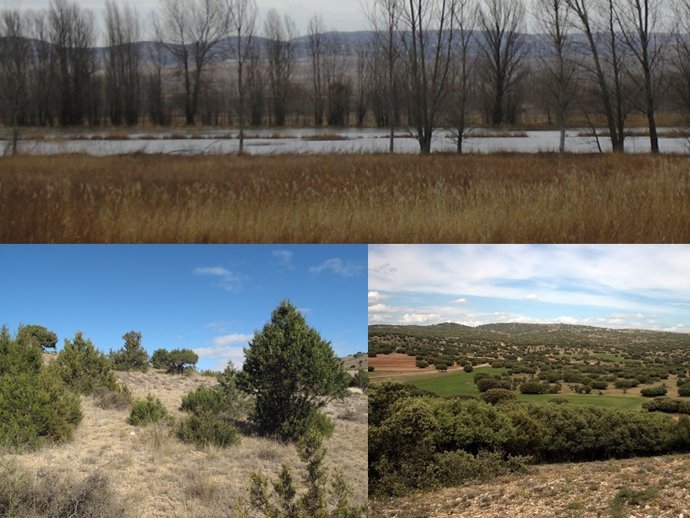 Paisajes del entorno de Villarquemado (Teruel)