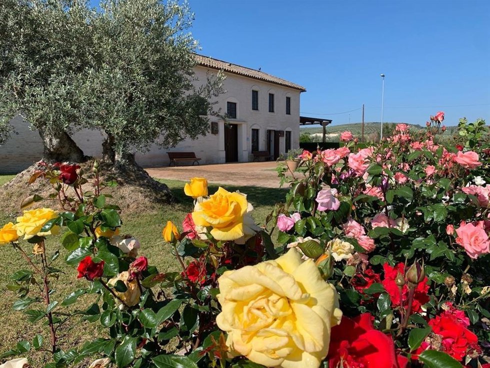 La Almazara más sostenible de España del pasado año, fue la deLuque Ecológico S.L., de Castro del Río.