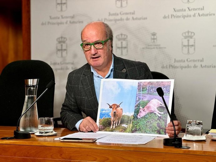 Luis Venta en rueda de prensa.