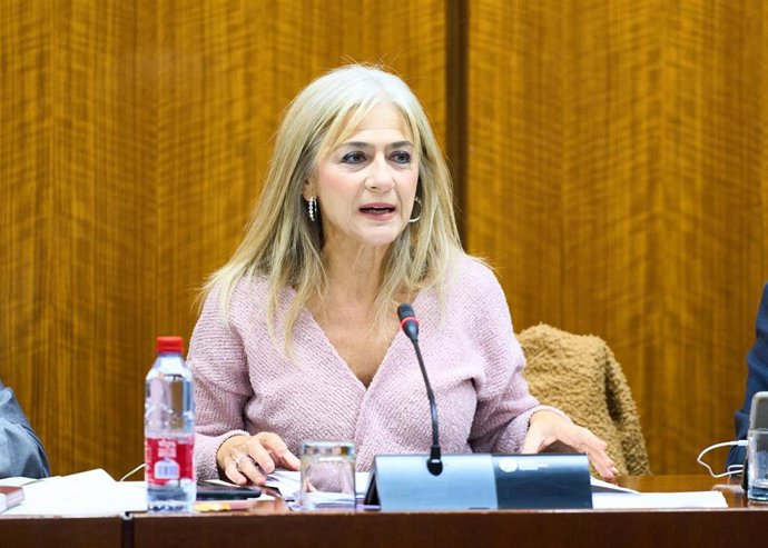 La consejera de Desarrollo Educativo y Formación Profesional, Patricia del Pozo, ha informado en comisión parlamentaria de que los programas para la innovación educativa que se desarrollan en los centros docentes se han integrado y simplificado.