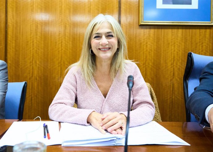 La consejera de Desarrollo Educativo y Formación Profesional, Patricia del Pozo, en comisión parlamentaria