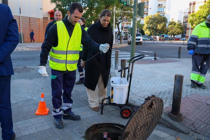 Las primeras intervenciones de desratización han empezado en la barriada sevillana de Juan XXIII.