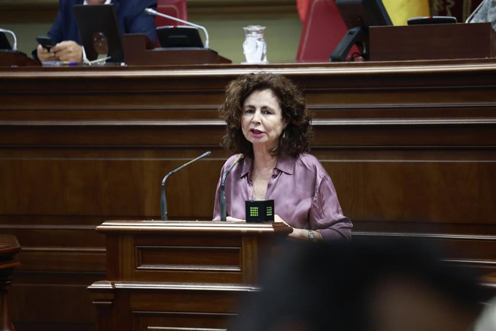 La consejera de Hacienda del Gobierno de Canarias, Matilde Asián