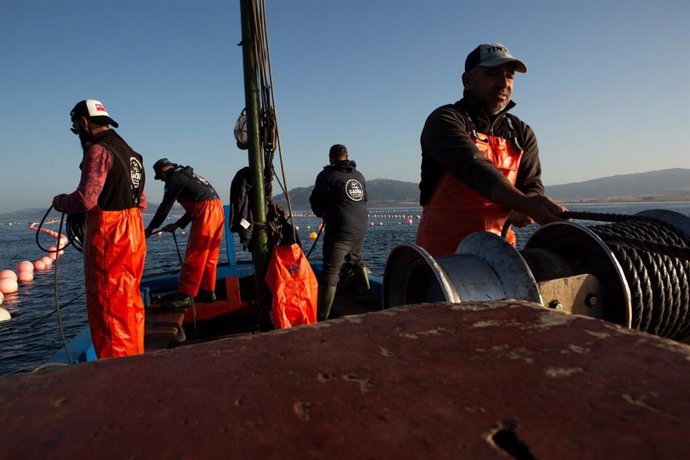 Pescadores abordo de un barco pesquero