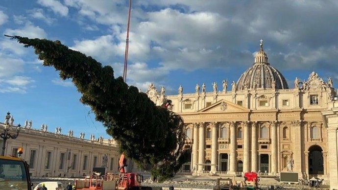 El árbol de Navidad llega al Vaticano.