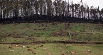 Galicia Rural