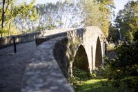 Adjudicado el contrato para la elaboración de un Plan de Infraestructura Verde y Drenaje Sostenible de Pamplona