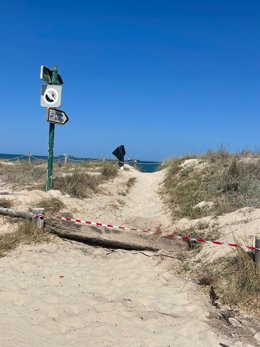 Archivo - Accesos a la playa de El Saler