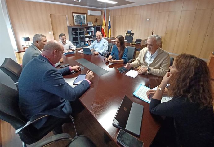 Imagen de la reunión de coordinación presidida por el director del Servicio Canario de la Salud, Carlos Díaz