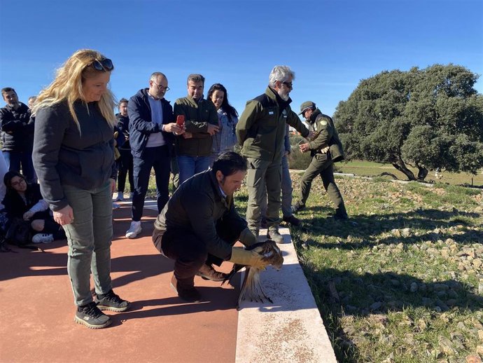 Suelta de aves rehabilitadas en Cumbres Mayores (Huelva).