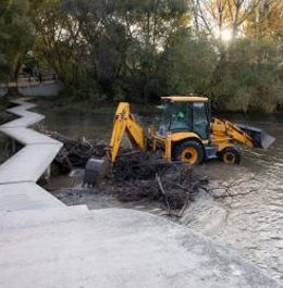 Labores de limpieza en el río Arga.