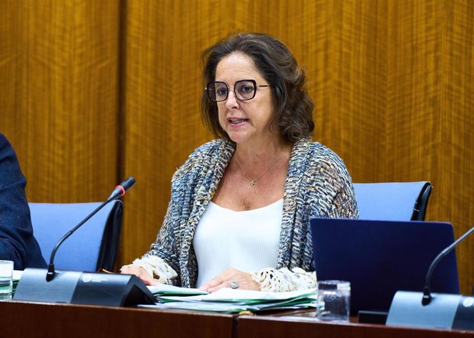 La consejera de Salud y Consumo, Catalina García, en comisión parlamentaria