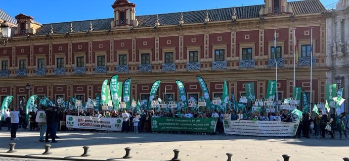 Trabajadores de los centros educativos concertados de todas las provincias de Andalucía se han congregado ante la puerta de San Telmo ante la convocatoria de FSIE Andalucía.