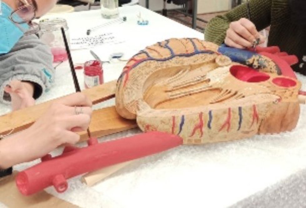 Restauración de modelos anatómicos por alumnos del Grado de Conservación y Restauración de la Facultad de Bellas Artes de Sevilla.