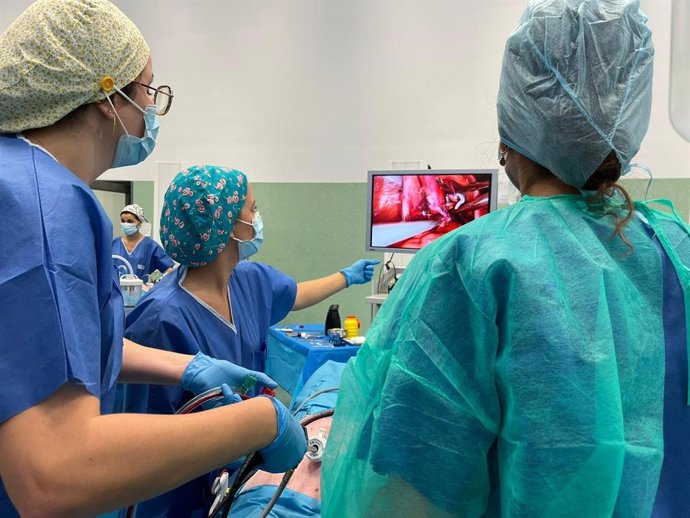 Participantes en el programa Iavante durante una intervención médica.