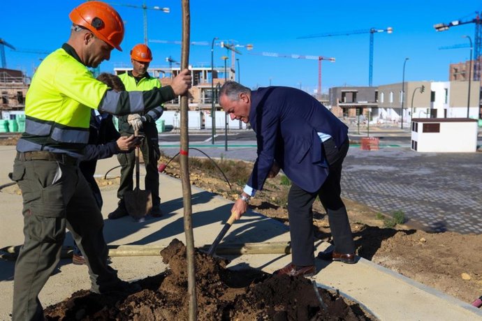 El alcalde de Sevilla, José Luis Sanz, planta uno de los 1.600 árboles que el Ayuntamiento prevé plantar hasta febrero.