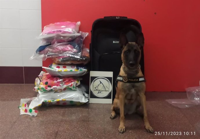 Un perro de la Policía Local detecta 11 kilos de marihuana envueltos con ajo, especias y lejía en una maleta