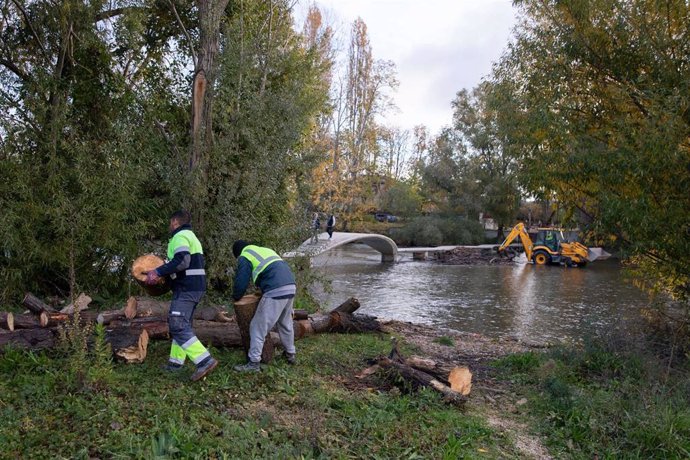 Las labores de limpieza en las pasarelas del río Arga en Pamplona permiten retirar más de mil kilos de broza del cauce del río.