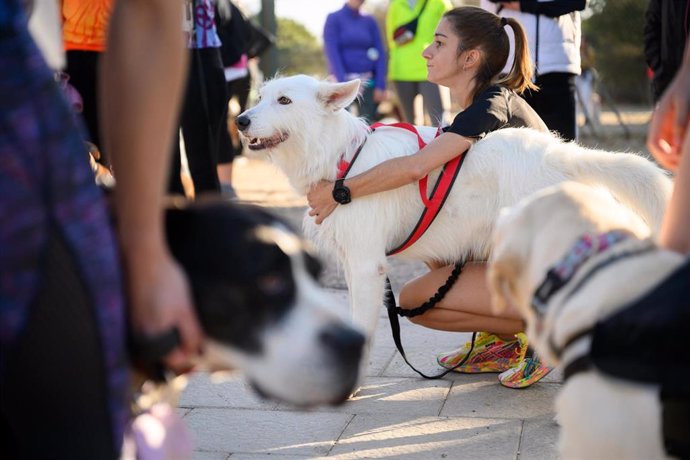 Una mascota y su sueña participan en las actividades de la tercera edición de 'AlmAnimal'.