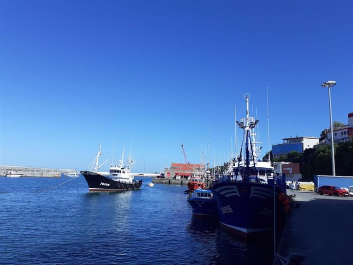 Archivo - Barcos pesqueros en el puerto de Bermeo (Bizkaia)