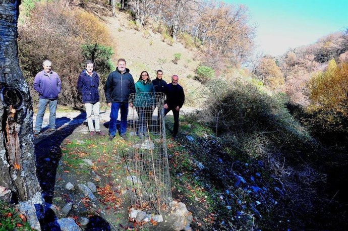 La Junta refuerza las poblaciones de espino cerval en el Parque Nacional de Sierra Nevada