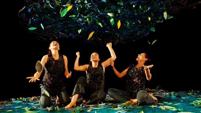 Sotobosque, la vida bajo los árboles'