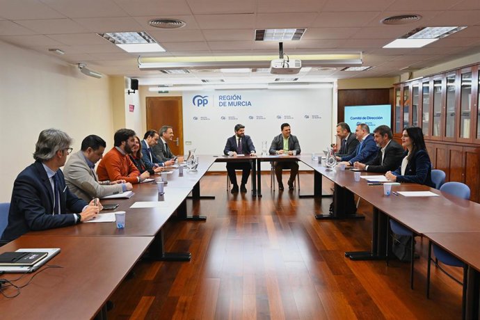 Imagen del Comité de Dirección del PPRM