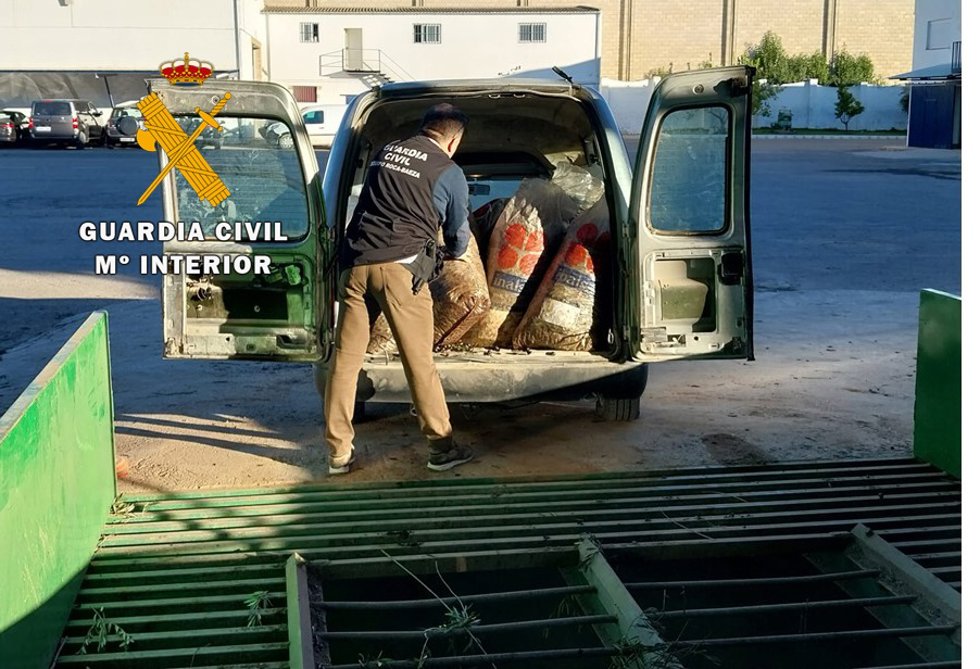 Un agente inspecciona uno de los vehículos.