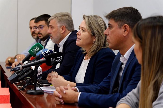 La diputada del PSOE por La Palma, Alicia Vanoostende, comparece en rueda de prensa junto a otros miembros del partido