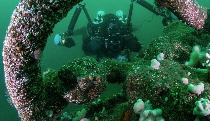 Buceador inspeccionando un pecio