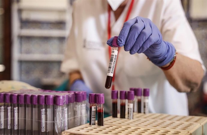 Archivo - Unidades de sangre 