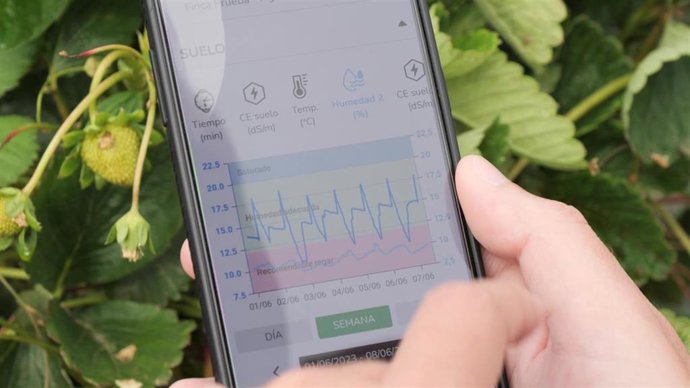 Fundalogy Unicaja se une a la startup SensaCultivo para promover una gestión eficiente del agua en los cultivos.