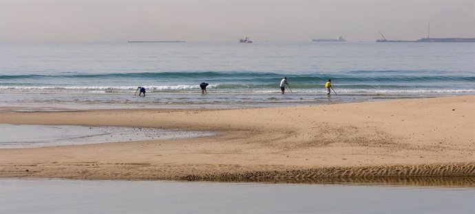 Np Capadr  Convocadas Las Ayudas A Los Mariscadores De Coquina Del Golfo De Cádiz Por La Parada Biológica