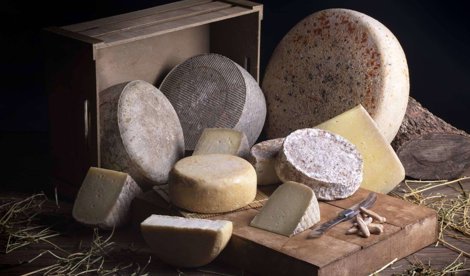 Comunicados Sociedad