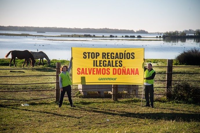 Activistas de Greenpeace colocan una pancarta contra la Proposición de Ley para ampliar regadíos en la Corona Norte de Doñana (Huelva).