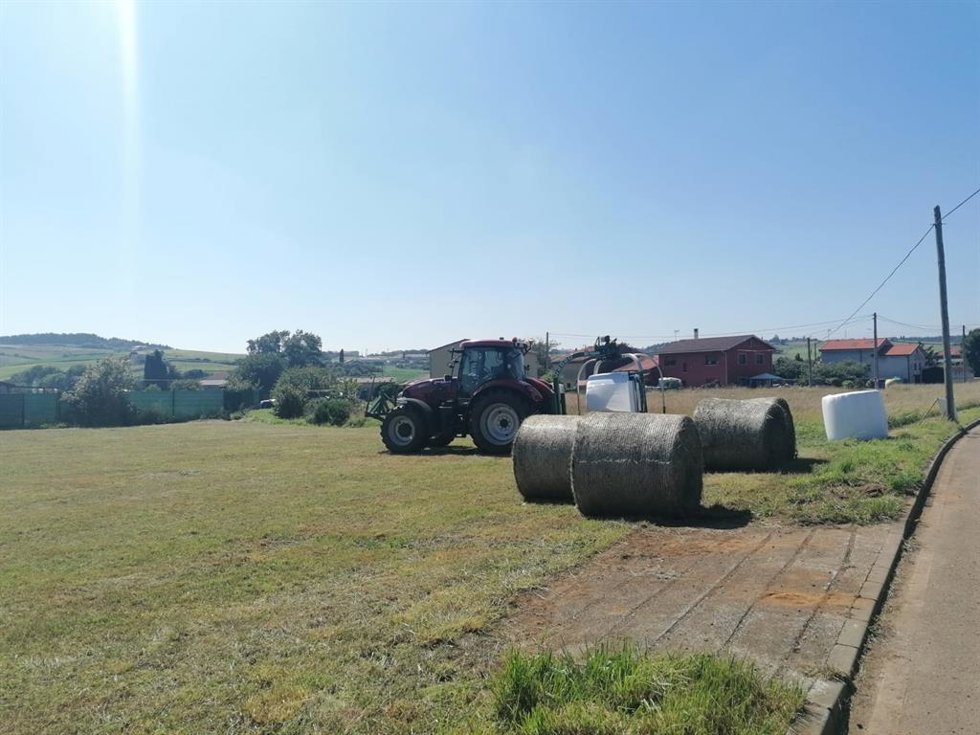 Archivo - Trabajos en el campo.