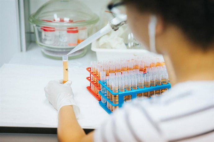 Archivo - Una investigadora en un laboratorio de la UPCT